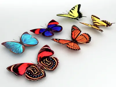 6 Butterflies group of colorful 3D model