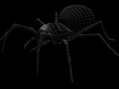 Black Spider 3D model