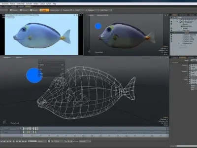 Naso Tang Marine Fish 3D model