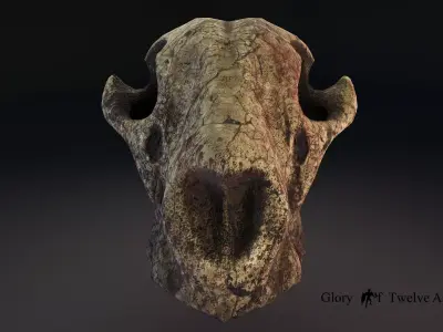 3D Cheetah Skull Model Free low-poly 3D model