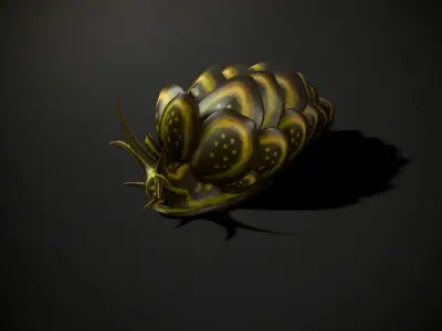 Cyerce Nigricans - Game Ready Low-poly 3D model Low-poly 3D model