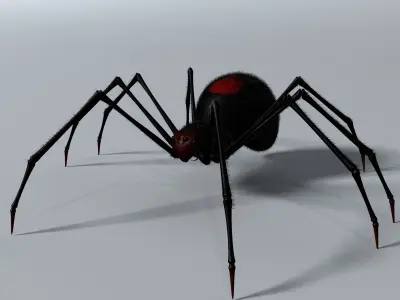 Black Spider Rigged Low-poly 3D model
