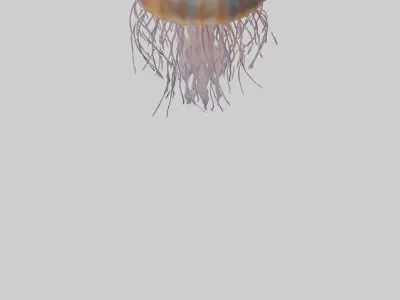 Lions Mane Jellyfish drifting model Low-poly 3D model