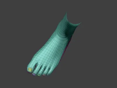 realistic female foot Low-poly 3D model