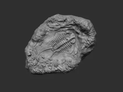 Trilobite Mineral Fossile - Realistic Printable and Keychain 3D print model