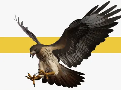 Stunning 3D Model of a Majestic Falcon Wildlife Enthusiasts Low-poly 3D model