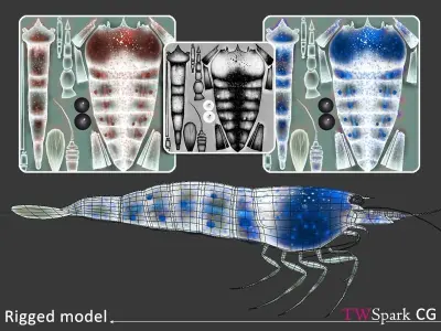 Low Poly Shrimp 3D model  Rigged Low-poly 3D model