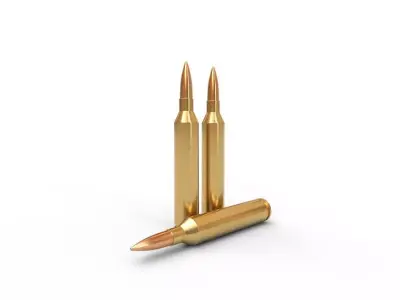 671 Blackbird  Ammo Low-poly 3D model