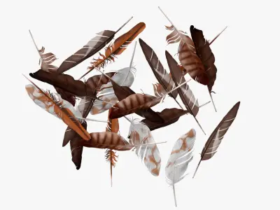 Mixed Bird Feathers Pile Multicolor 3D model