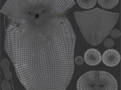 Blue Whale 3D Model Rigged Free low-poly 3D model