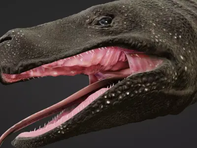 Komodo Dragon Low-poly 3D model