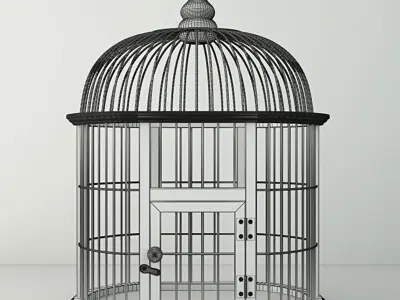 Decorative Bird Cage by ZARA HOME 3D model