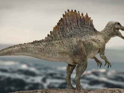 Spinosaurus Rigged 3D model Low-poly 3D model