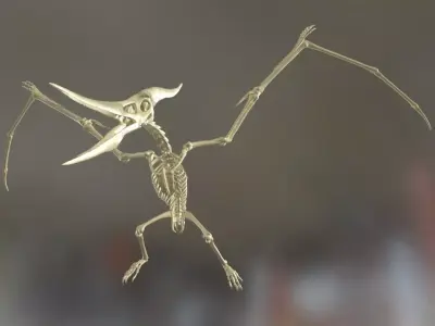 Pteranodon Skeleton Cinematic 3D model