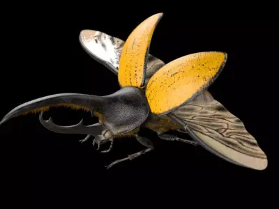 Hercules Beetle Insect Low-poly 3D model