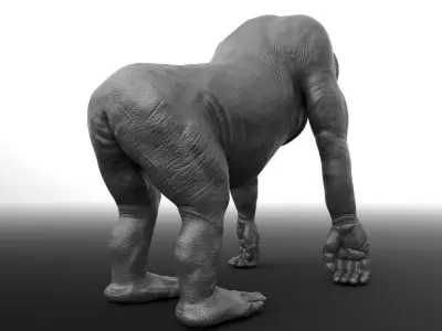 Orangutan gorilla Free 3D model