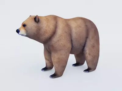 Bear Animal Free 3D model