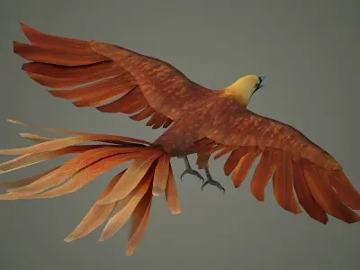 pheasant bird feather wing game hunt hunting wild forest  3D model