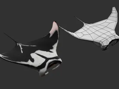 Animated Manta Ray Low-poly 3D model