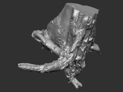 3d scan of tree root in highpoly 3D model
