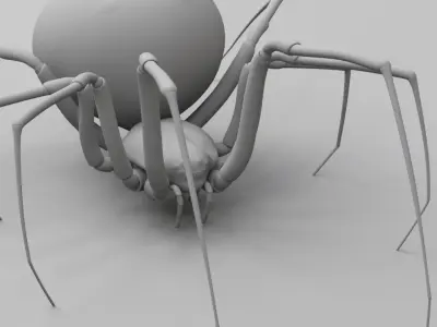 Black widow spider  v2 3D model