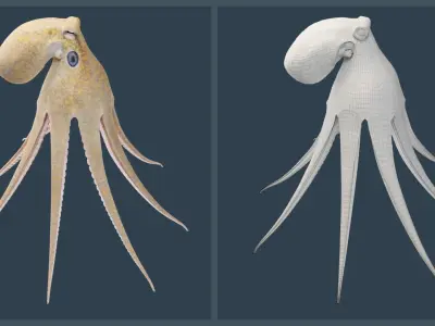 Animated California Two-Spot Octopus Low-poly 3D model
