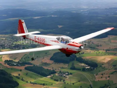 Scheibe SF-25 Falke plane model 3D print model