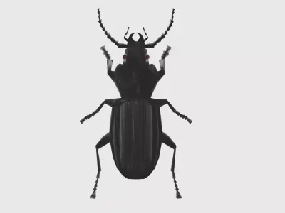 Low Poly Beetle Low-poly 3D model