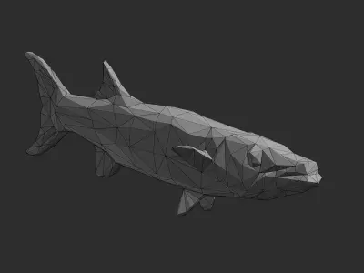 Low Poly Pacific Barracuda Low-poly 3D model