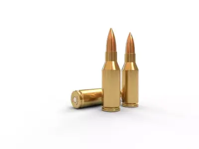 300 Olympic SSM Ammo Low-poly 3D model
