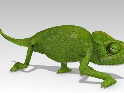 Chameleon Low-poly 3D model