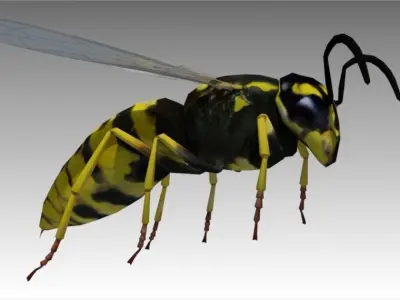Wasp Animated Low-poly 3D model