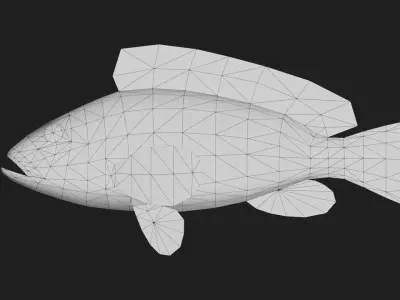 Bass fish Low-poly 3D model
