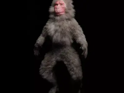 Japanese macaque monkey Free 3D model