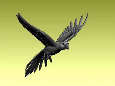 parrot flying in air 3D model