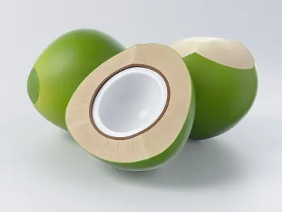 Cartoon Green Coconut Set 3D model