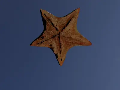 Starfish rusty star in sky Low-poly 3D model