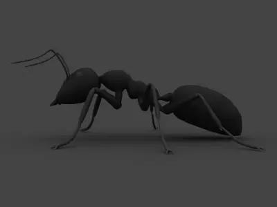 ANTS-001 Rigged Black Ant Low-poly 3D model