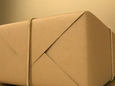 Cardboard Box Wrapped in Brown Paper - Package 3D model