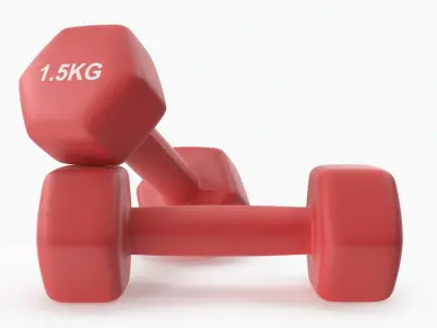 Plastic Fitness Dumbbells 1.5kg 3D model