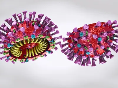 Corona virus 2019 3D model
