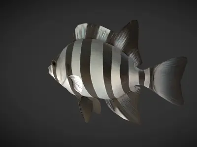 Fishes 02 Low-poly 3D model