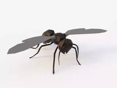 Flying ant 3d model  Low-poly 3D model