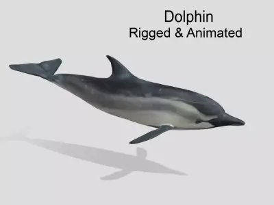 Bottlenose Dolphin- Animated  Low-poly 3D model
