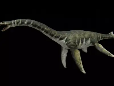 Zarafasaura - Plesiosaurs Elasmosaurs Low-poly 3D model