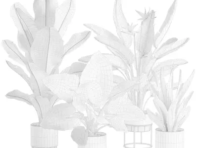 Indoor Plants Pack 103 3D model