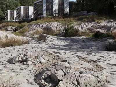  Medium Low Cracked Beach Rock Model 