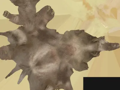 Elephant middle-poly 3D model