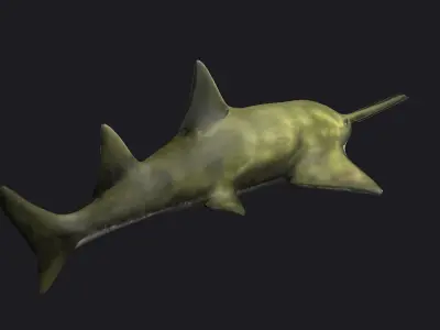 fish shark sawfish animal aquatic extinct ocean 3D model