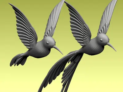 colibri humming bird 3D model